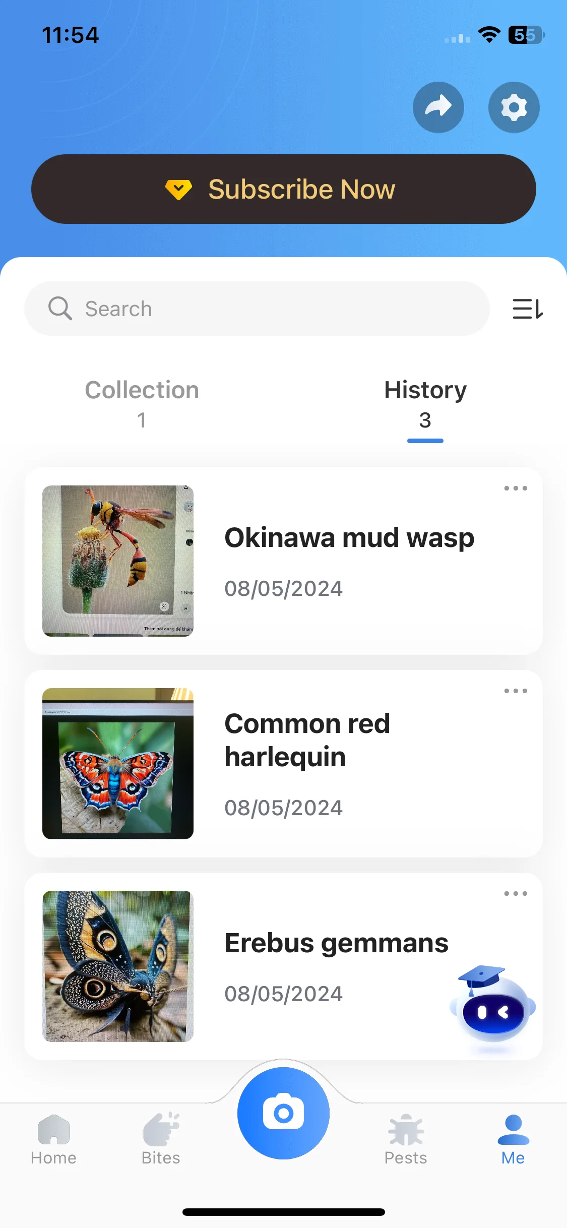 Test Image 1